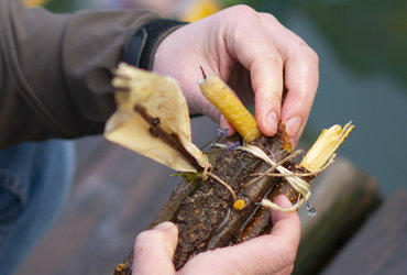 GREGORJEVO: (Fl)etno družinsko spuščanje gregorčkov