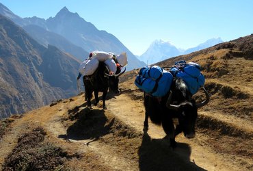 V OBJEMU OSEMTISOČAKOV HIMALAJE <em>Foto: ©Marjan Knez</em>