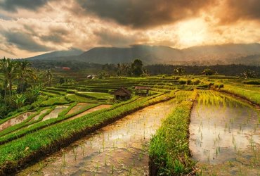 Vili Podgoršek: Preko Katarja v Indonezijo <em>Foto: Vili Podgoršek</em>