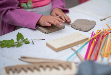 SOBOTA ZA DRUŽBO: JESENIŠČE