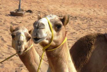 JORDANIJA, NAJBOLJ SPROŠČENA DRŽAVA NA BLIŽNJEM VZHODU