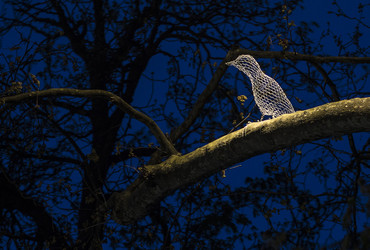 Svetlobna gverila: Re:Akcija3 <em>Foto: Arhiv Svetlobna gverila</em>