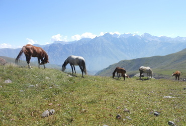 Izidor Furjan: Po gorah Kavkaza - Kazbek 5033 m <em>Foto: Društvo popotnikov Vagant</em>