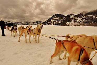 DELO IN ŽIVLJENJE NA KRIŽARKI