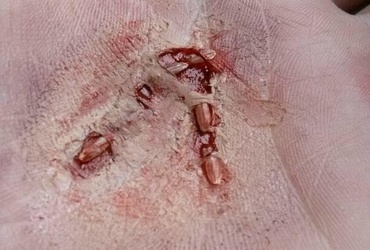 Tečaj ličenja <em>Foto: Zavod Mars Maribor</em>