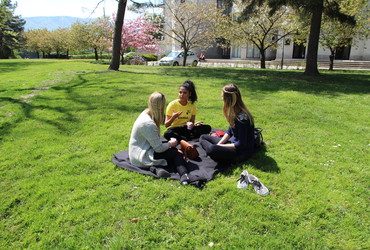 Medkulturna živa knjižnica