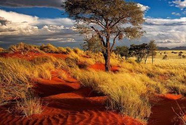 UJETA LEPOTA NAMIBIJE