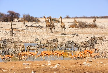 UJETA LEPOTA NAMIBIJE <em>Foto: © Arhiv Vagant</em>