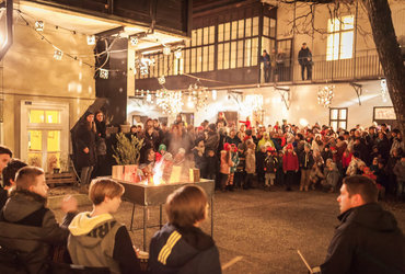 OTVORITEV VILINSKEGA DVORA: OD ISKRIC DO SVETLOBE