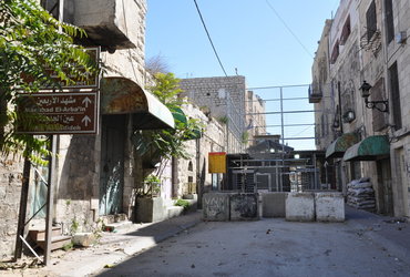 Ana Tasič: Palestina - sprehod med oljkami <em>Foto: Ana Tasič</em>