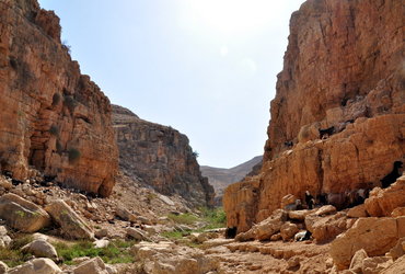 Ana Tasič: Palestina - sprehod med oljkami <em>Foto: Ana Tasič</em>