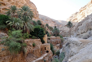 Ana Tasič: Palestina - sprehod med oljkami <em>Foto: Ana Tasič</em>