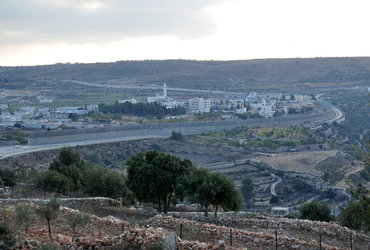 Ana Tasič: Palestina - sprehod med oljkami <em>Foto: Ana Tasič</em>