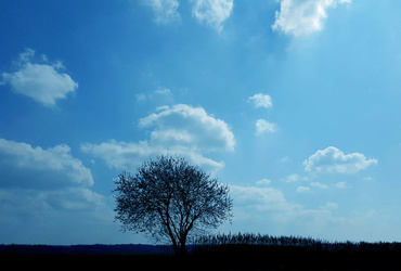 Perspektive <em>Foto: Vox Alia</em>