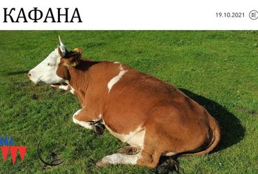 Pop-Up Shop: КАФАНA