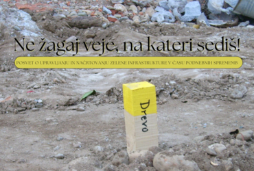 Ne žagaj veje, na kateri sediš!