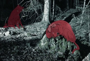 Domišljijski svet v realnem prostoru z Deo Jagić