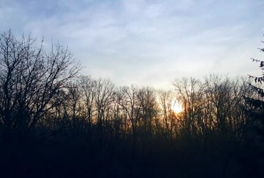 Student Cuts: Življenja drugih