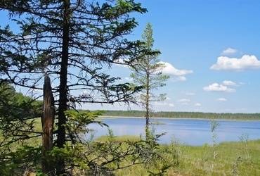 Damjan Jevšnik: Poletje v Skandinaviji