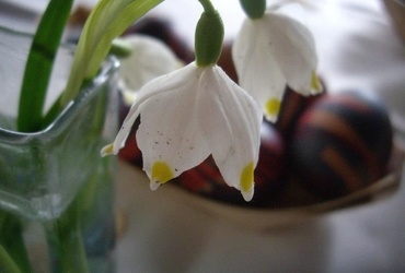 Slavje pred veliko nočjo