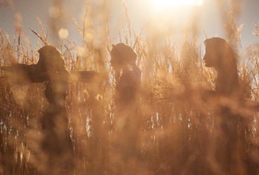 Projekcije: Mednarodno tekmovanje stop animacija I