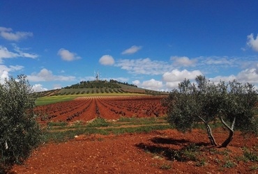 Leon Saksida: Potovanje čez Španijo