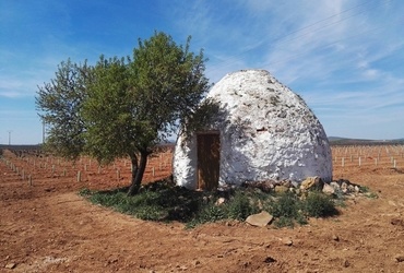 Leon Saksida: Potovanje čez Španijo