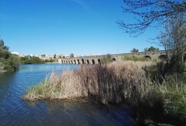 Leon Saksida: Potovanje čez Španijo