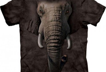 Večerni grafenale: Fotografija na blago