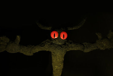 Projekcije: Panorama