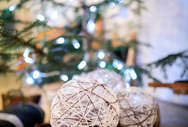 MARSOVA DELAVNICA DARIL Z LANO