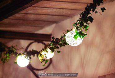 MARSOVA DELAVNICA DARIL Z LANO