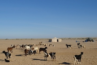 Damjan Vrenčur: Zahodna Sahara <em>Foto: Damjan Vrenčur</em>