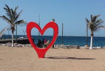 DIVJA ZAHODNA AFRIKA