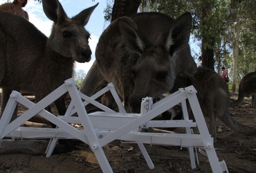 Nikki Passath & Elisabeth Saubach