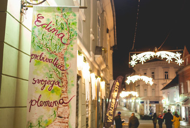 Edina prebivalka svojega plemena / Babičine pravljice <em>Foto: Dejan Bulut / © Narodni dom Maribor</em>