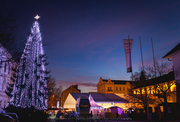 Živ-žav Vilinskega mesta <em>Foto: © Dejan Bulut / Arhiv Narodni dom Maribor</em>