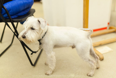 Majhne glave, velike ideje! <em>Foto: © Dejan Bulut / Arhiv Narodni dom Maribor</em>