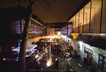 Vilinsko mesto - zadnjič v 2015 <em>Foto: Dejan Bulut © Narodni dom Maribor</em>