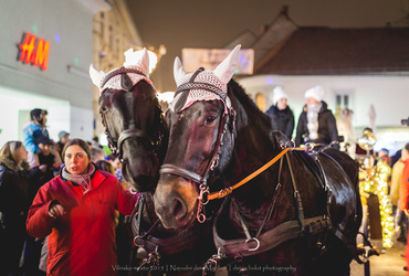 Vilinsko mesto - zadnjič v 2015 <em>Foto: Dejan Bulut © Narodni dom Maribor</em>