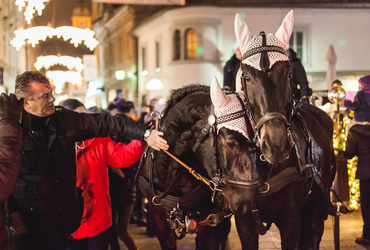 Vilinsko mesto - zadnjič v 2015 <em>Foto: Dejan Bulut © Narodni dom Maribor</em>