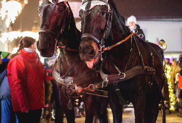 Vilinsko mesto - zadnjič v 2015 <em>Foto: Dejan Bulut © Narodni dom Maribor</em>