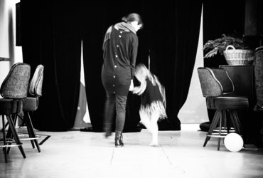 Lutkovna predstava MODRI KRALJ INUS & ustvarjalnice <em>Foto: Boštjan Vertuš</em>