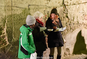 Ana Mrzla: Nezaželeni prišleki <em>Foto: Denis Zelnik</em>