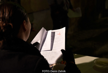 Ana Mrzla: Nezaželeni prišleki <em>Foto: Denis Zelnik</em>