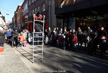 Ana Mrzla: Pogumno naprej <em>Foto: Denis Zelnik</em>
