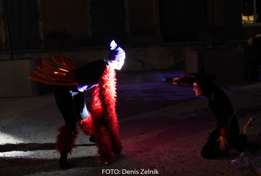 Ana Mrzla: Ime mi je Vida <em>Foto: Denis Zelnik</em>