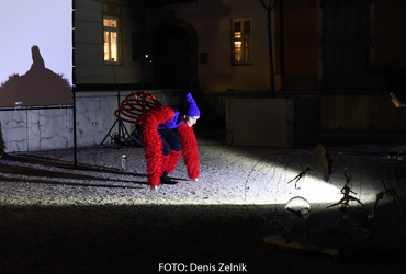 Ana Mrzla: Ime mi je Vida <em>Foto: Denis Zelnik</em>