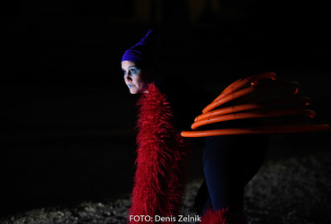 Ana Mrzla: Ime mi je Vida <em>Foto: Denis Zelnik</em>