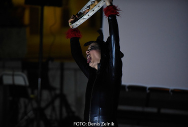 Ana Mrzla: Ime mi je Vida <em>Foto: Denis Zelnik</em>